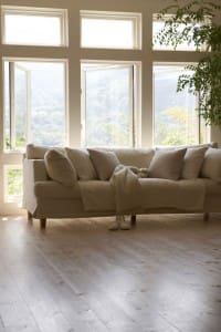 Sofa by window in living room Sofa by window in living room