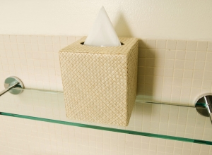 Box of facial tissues on glass shelf