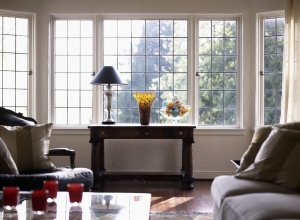 Domestic living room with large window